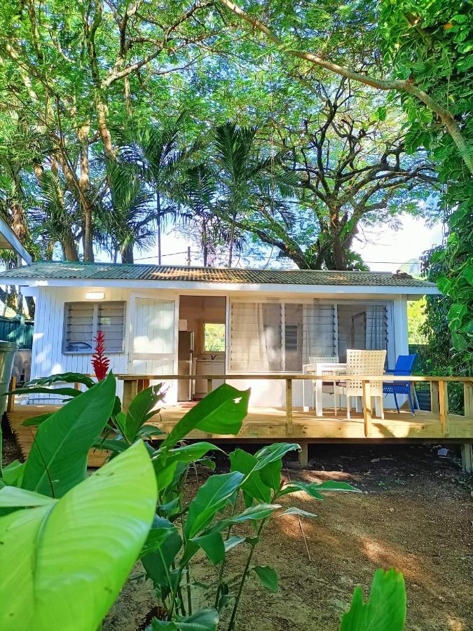 Are Tamarini Beachfront Cottage&River Studio Avarua Esterno foto
